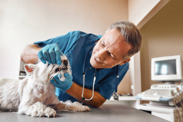 Best Emergency Dentist for Knocked-Out Tooth in Columbia, TN