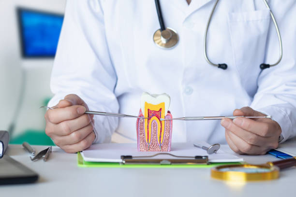 Best Urgent Dental Care for Toothache in Columbia, TN